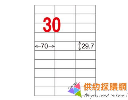 龍德電腦標籤紙